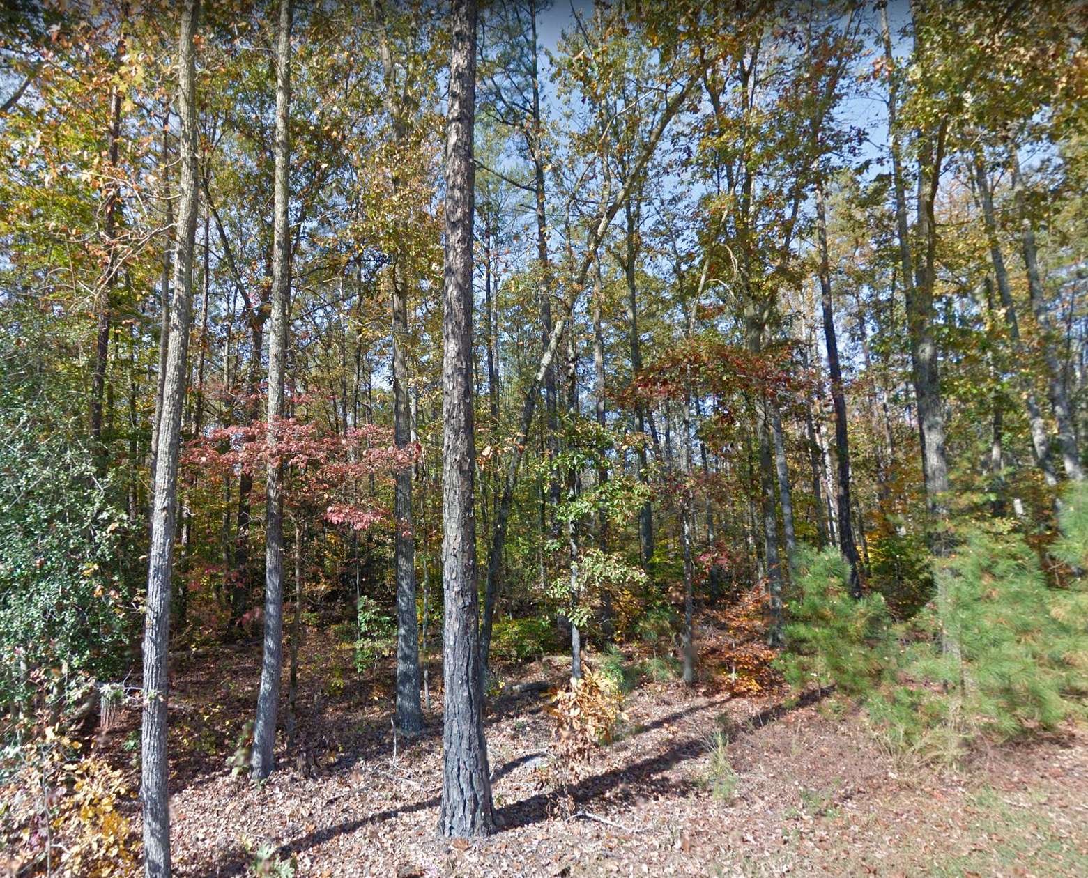 14.1 Acres of Recreational Land for Sale in North Tazewell, Virginia