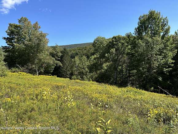 7.5 Acres of Residential Land for Sale in Arkville, New York