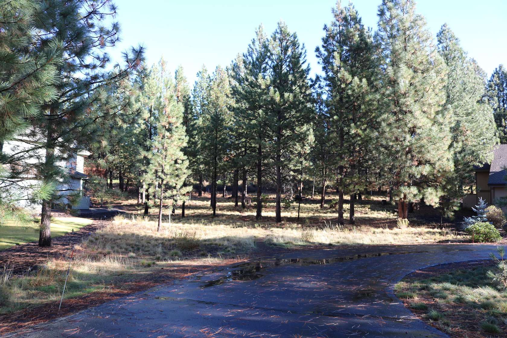 0.32 Acres of Residential Land for Sale in Bend, Oregon
