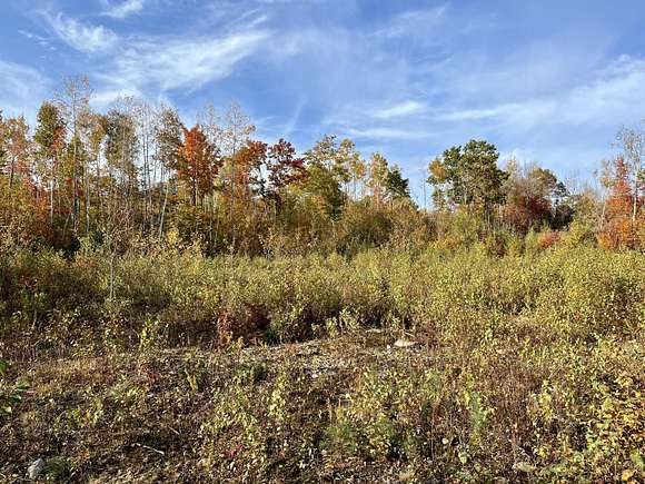 35.5 Acres of Recreational Land for Sale in Winterport, Maine