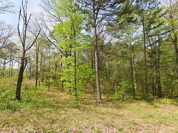 1.4 Acres of Residential Land for Sale in Warrior, Alabama
