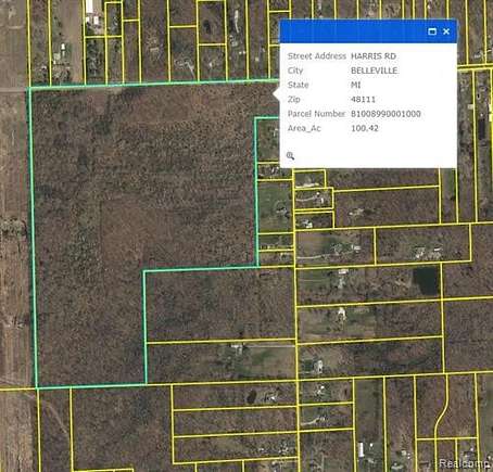 98.5 Acres of Land for Sale in Belleville, Michigan