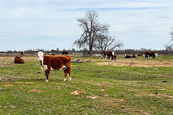 168 Acres of Agricultural Land for Sale in Vernon, Texas