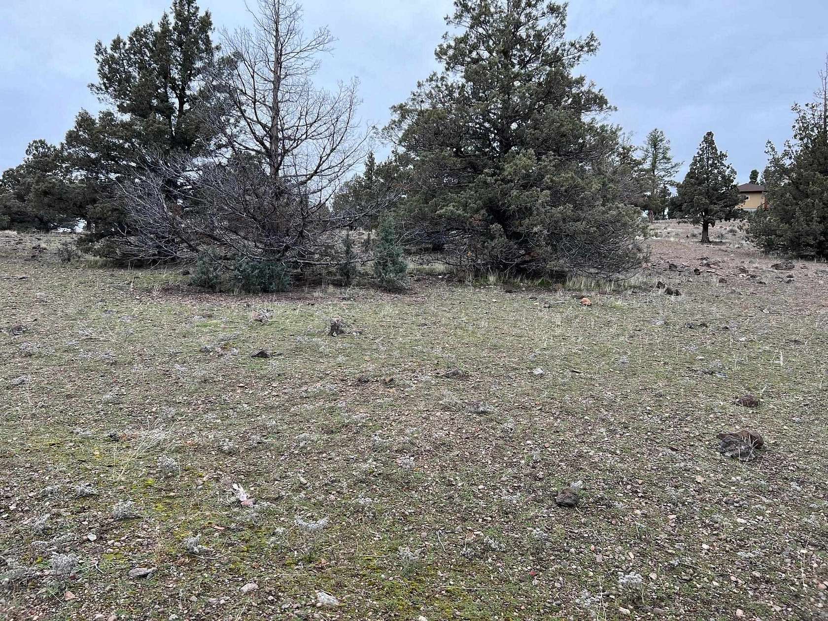 0.29 Acres of Residential Land for Sale in Weed, California