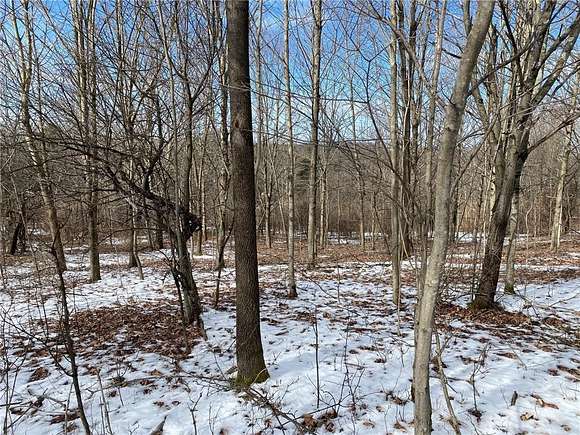 19.7 Acres of Land for Sale in Mount Vision, New York