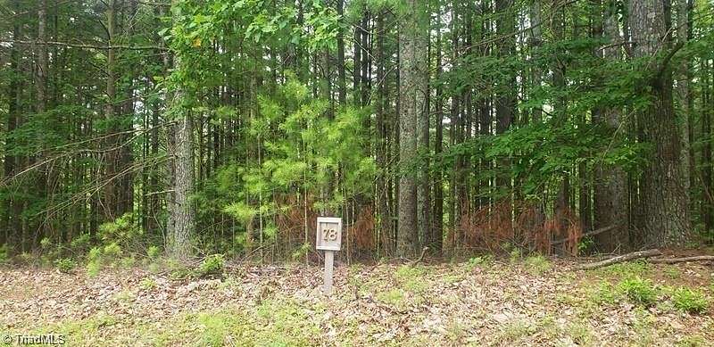 4.2 Acres of Residential Land for Sale in Lowgap, North Carolina