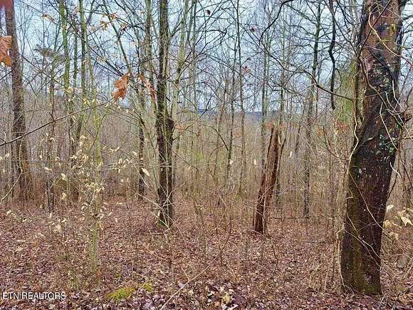 0.77 Acres of Residential Land for Sale in New Tazewell, Tennessee