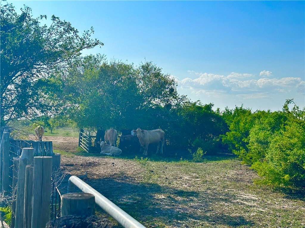 44 Acres of Land with Home for Sale in Kingsville, Texas
