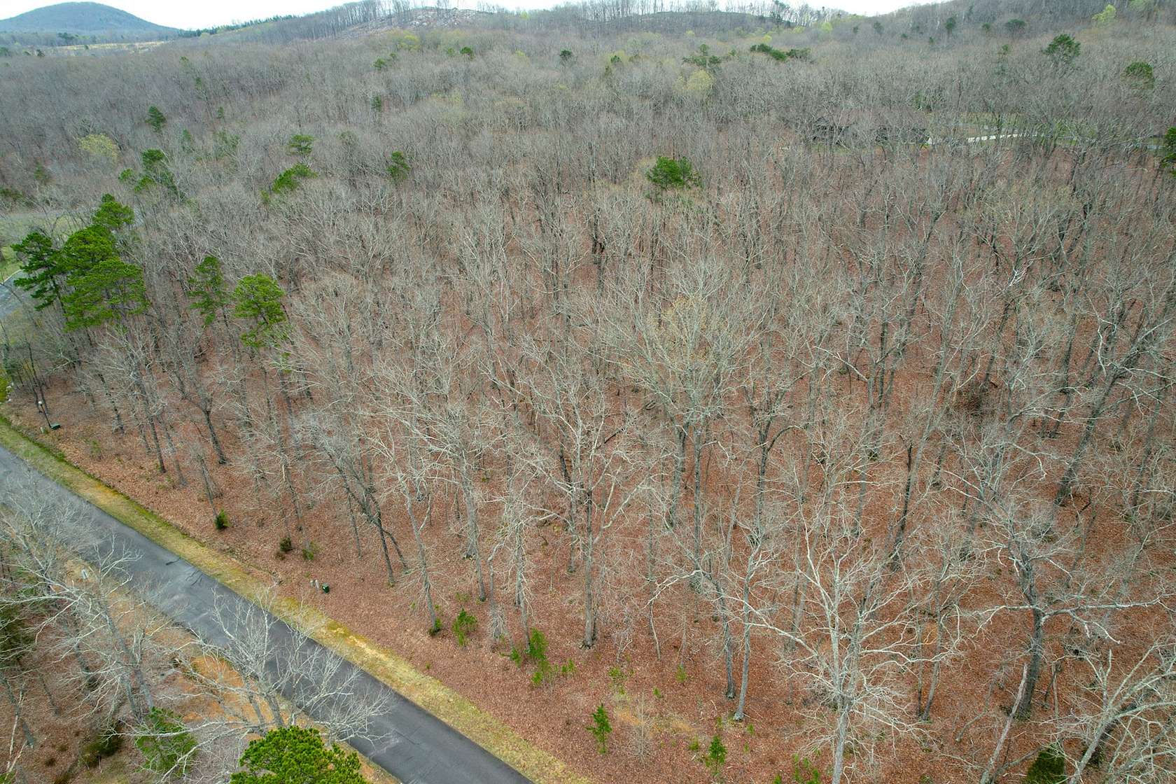 1.32 Acres of Residential Land for Sale in Denton, North Carolina