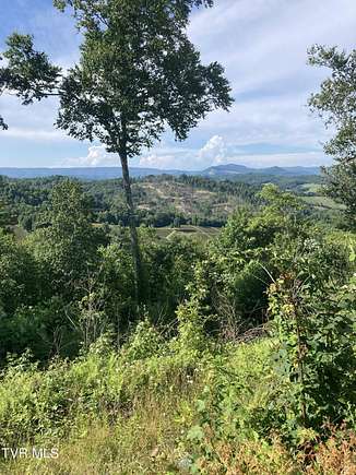 52.6 Acres of Recreational Land for Sale in Mouth of Wilson, Virginia
