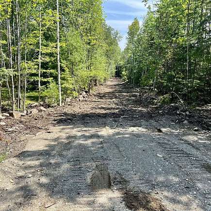 36 Acres of Land for Sale in Eddington, Maine