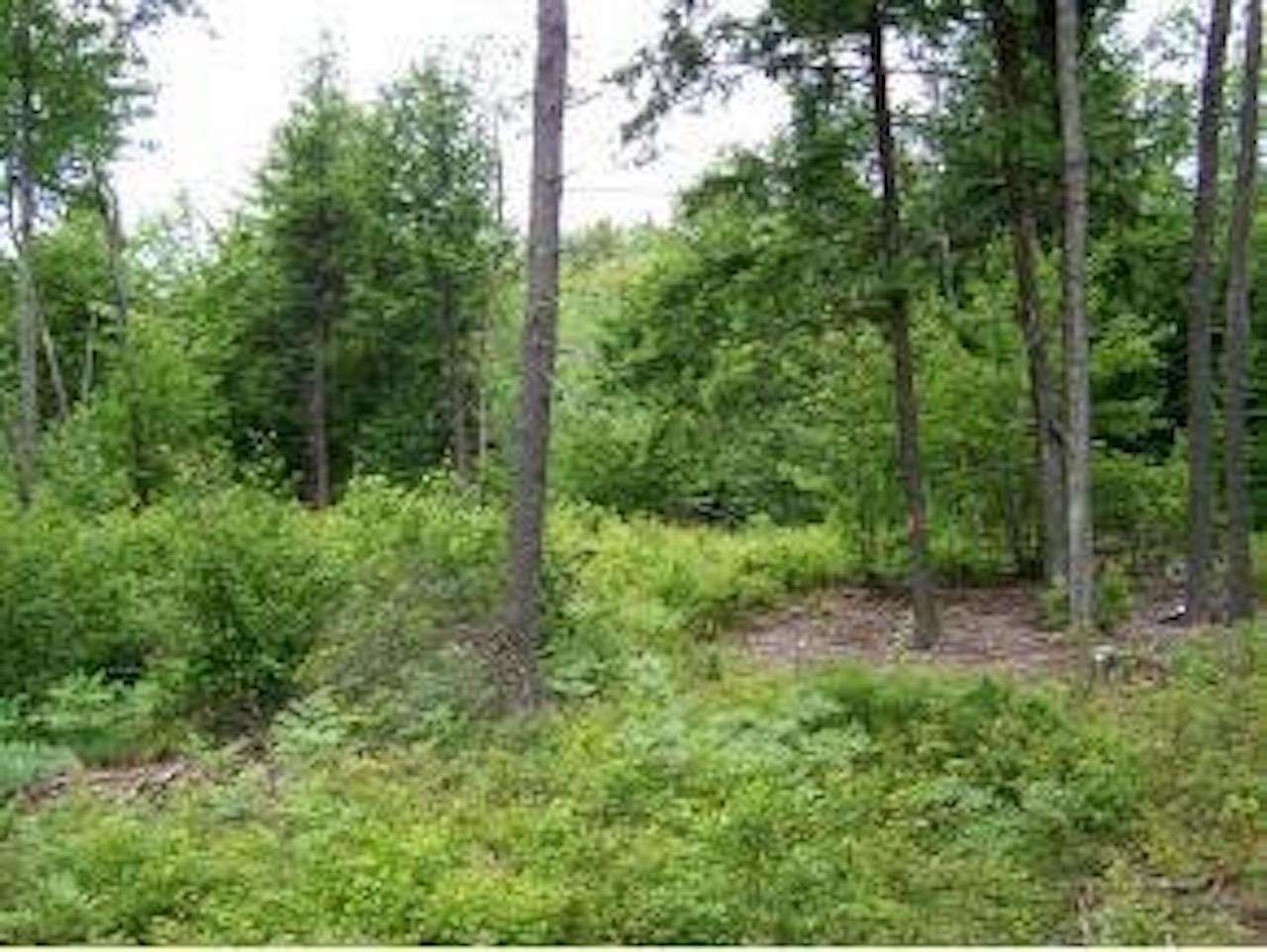 33 Acres of Land for Sale in Strafford, New Hampshire