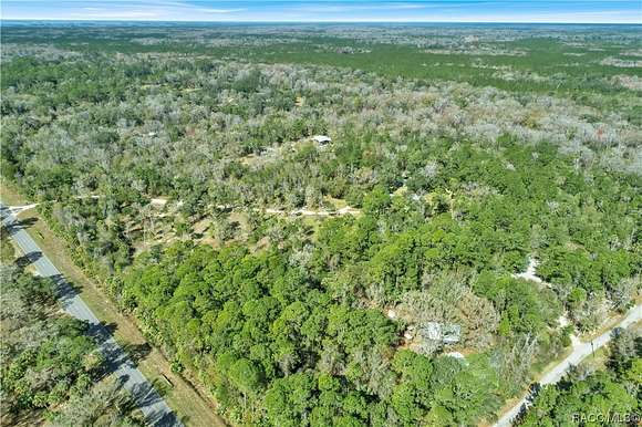 28.23 Acres of Recreational Land with Home for Sale in Inglis, Florida