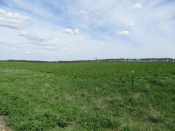 0.45 Acres of Residential Land for Sale in Garvin, Minnesota