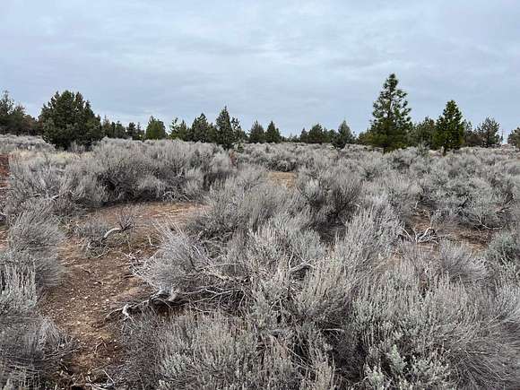 0.35 Acres of Residential Land for Sale in Weed, California