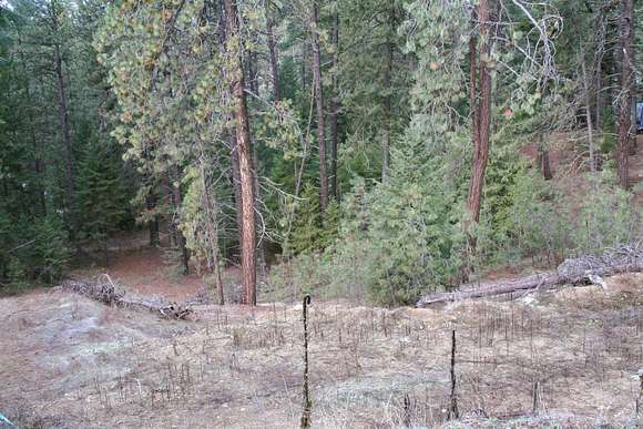 0.67 Acres of Land for Sale in Valley, Washington