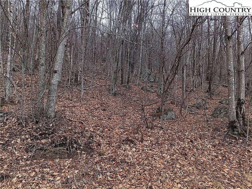 0.35 Acres of Land for Sale in Beech Mountain, North Carolina