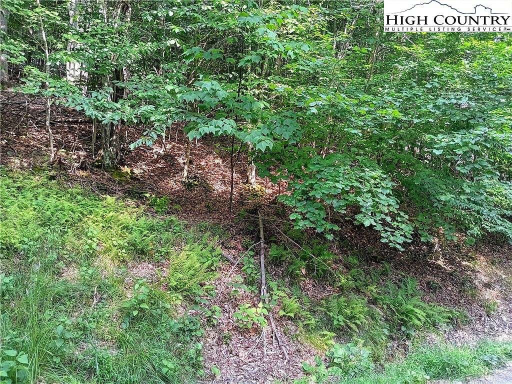 0.35 Acres of Land for Sale in Beech Mountain, North Carolina