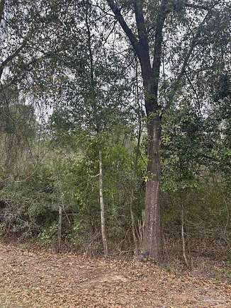 1.7 Acres of Residential Land for Sale in Pensacola, Florida