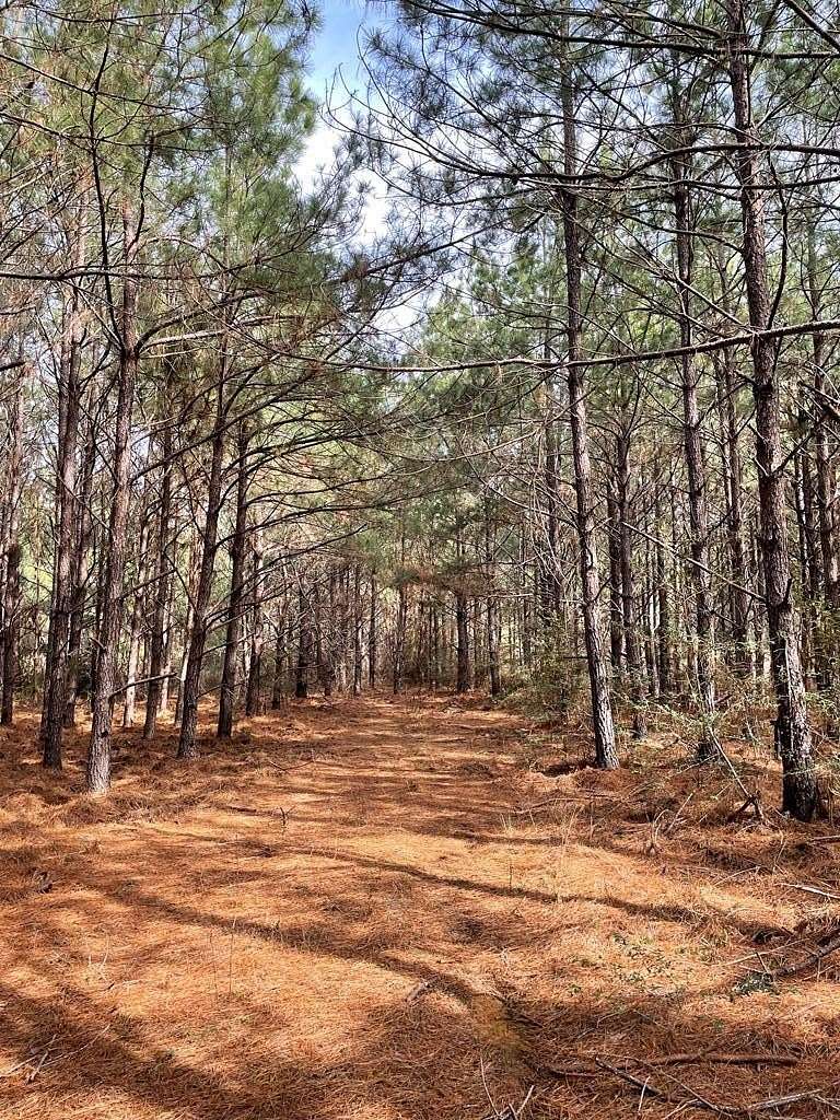 12 Acres of Land for Sale in Nacogdoches, Texas