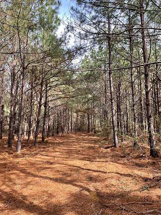 12 Acres of Land for Sale in Nacogdoches, Texas
