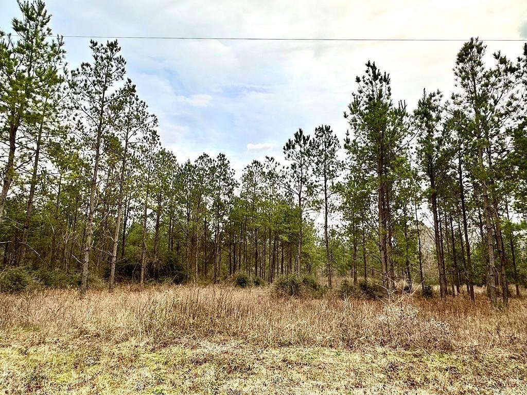 12 Acres of Recreational Land for Sale in Nacogdoches, Texas