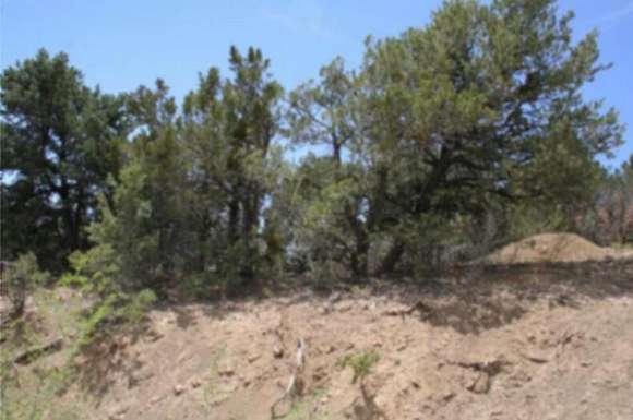 9.2 Acres of Land for Sale in Tijeras, New Mexico