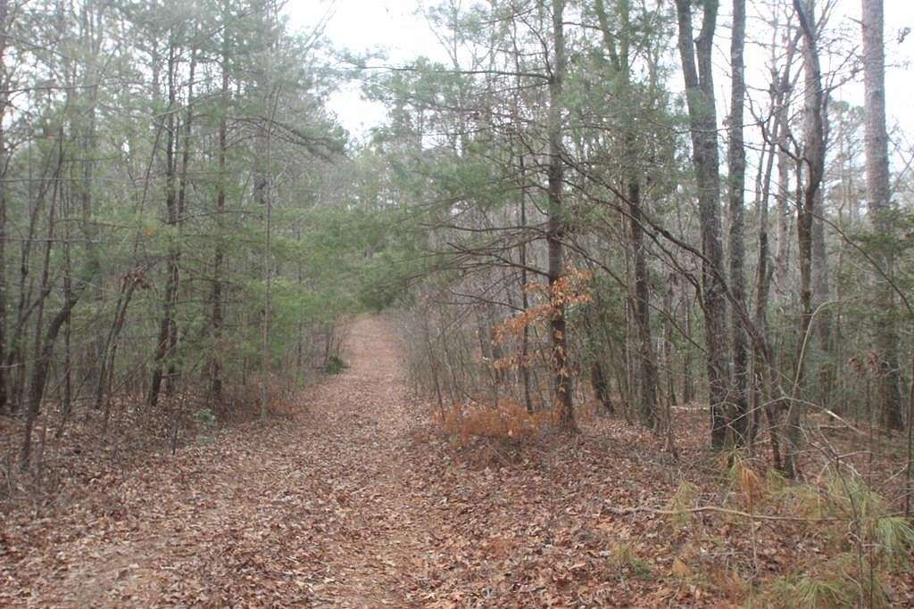 1.8 Acres of Land for Sale in Ellijay, Georgia