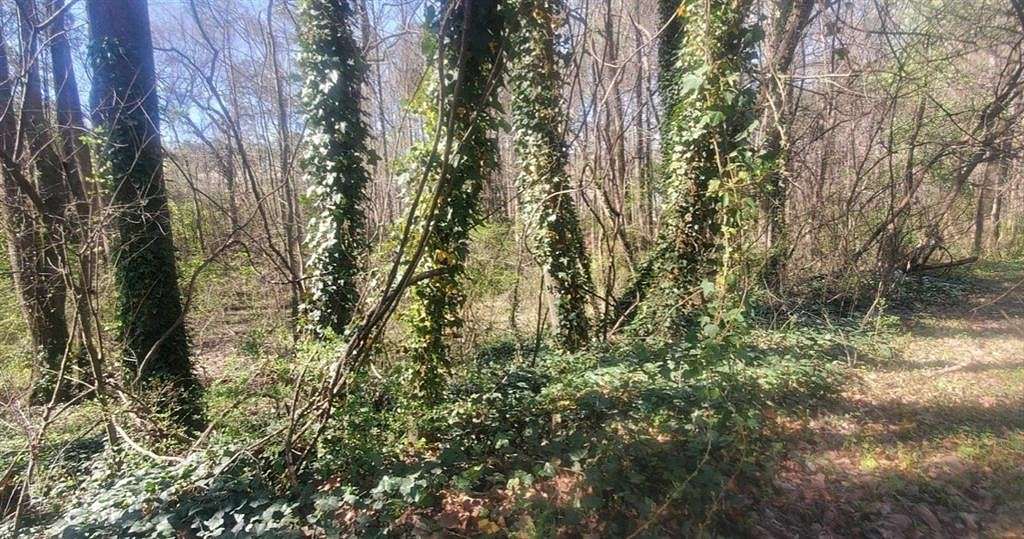 1 Acre of Residential Land for Sale in Jonesboro, Georgia