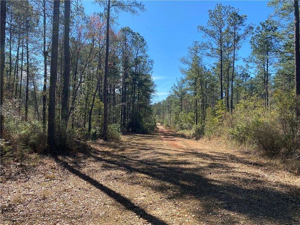 600 Acres of Recreational Land for Sale in Deer Park, Alabama