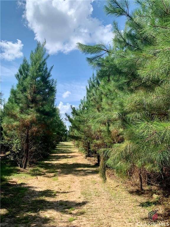 48.8 Acres of Recreational Land for Sale in Rayle, Georgia