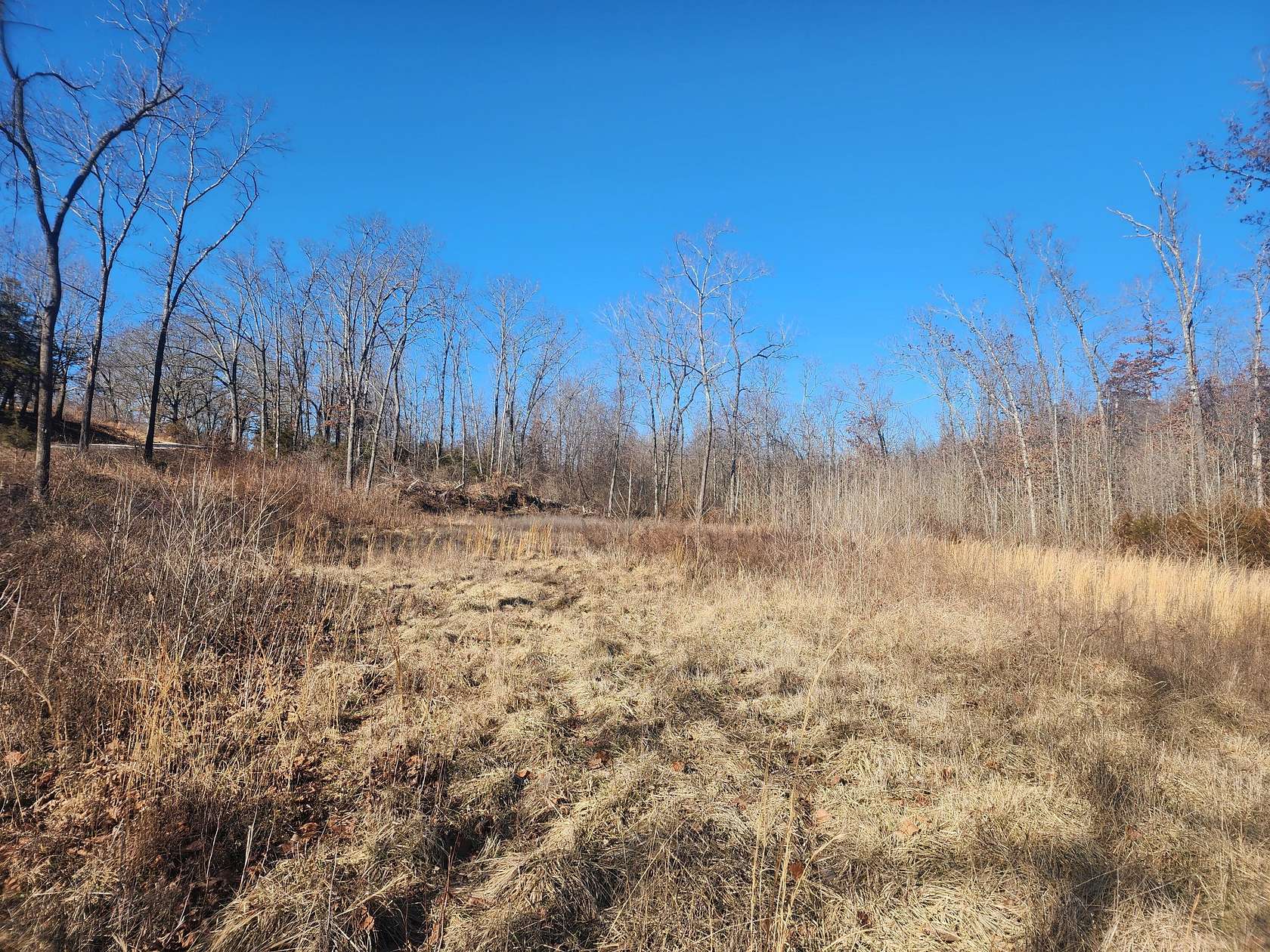 25 Acres of Land for Sale in Seymour, Missouri