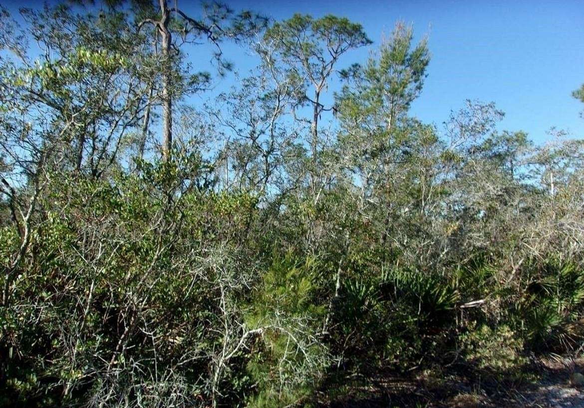 0.23 Acres of Land for Sale in Sebring, Florida