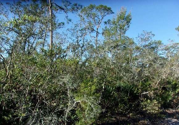 0.23 Acres of Land for Sale in Sebring, Florida