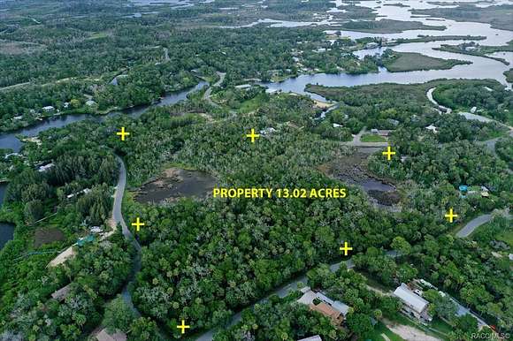 13 Acres of Land for Sale in Crystal River, Florida