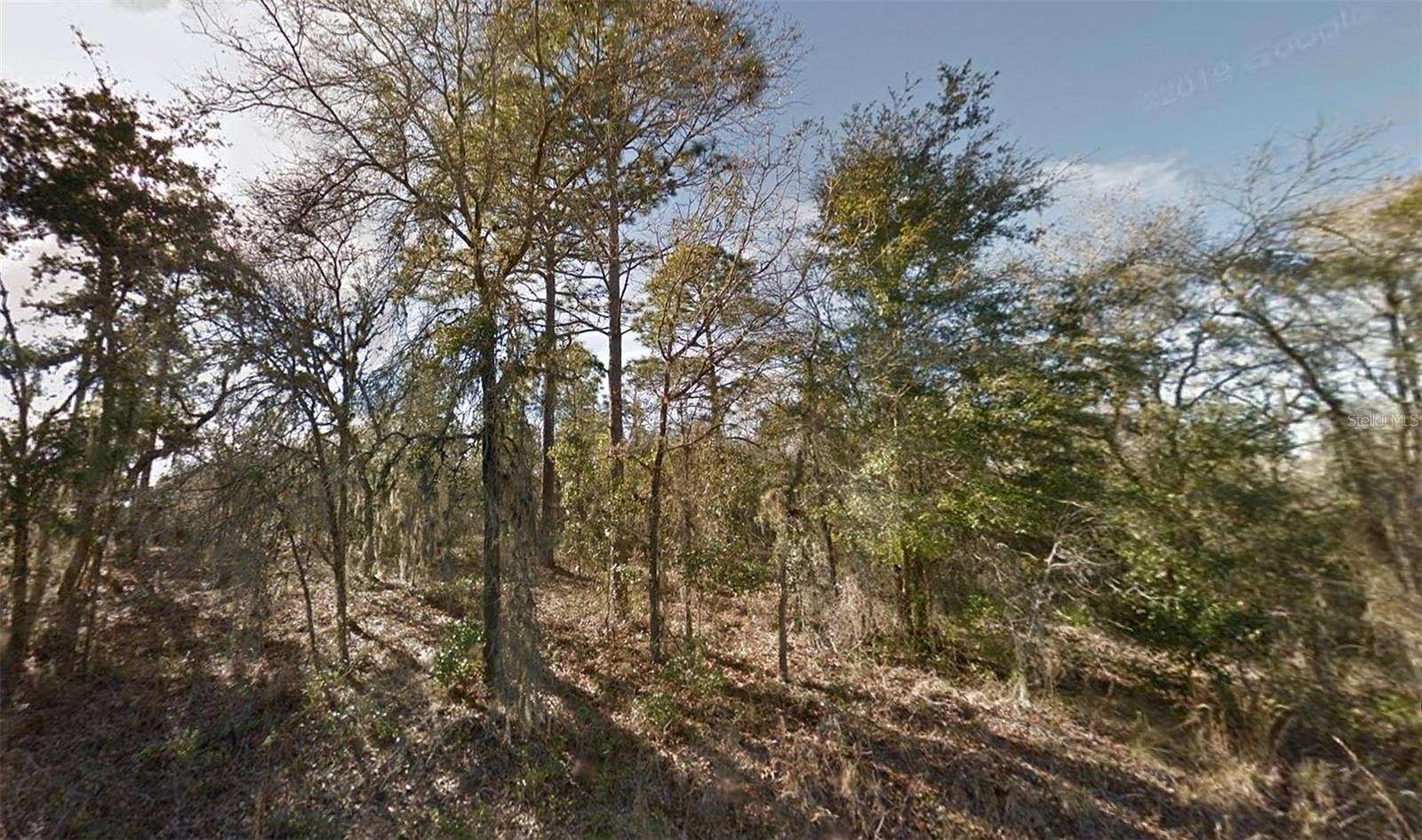 1 Acre of Residential Land for Sale in Williston, Florida