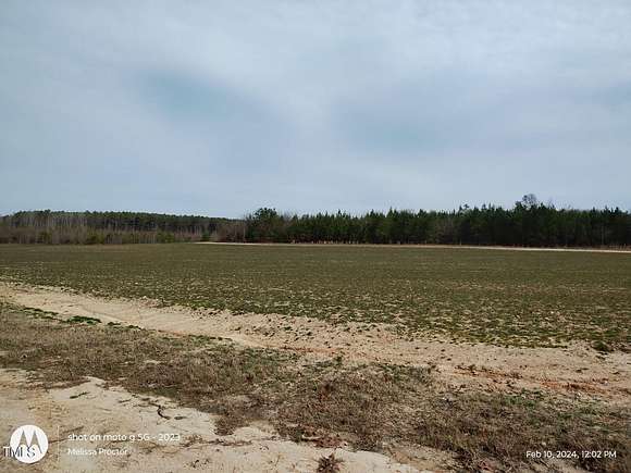 133 Acres of Improved Land for Sale in Castalia, North Carolina
