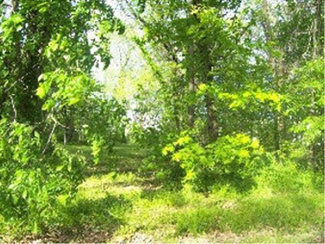 0.35 Acres of Land for Sale in Lake Summerset, Illinois