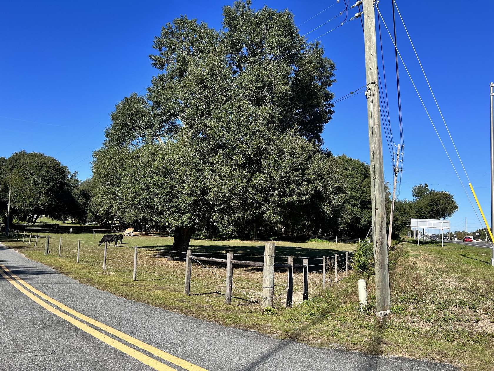 5.4 Acres of Land for Sale in Lakeland, Florida