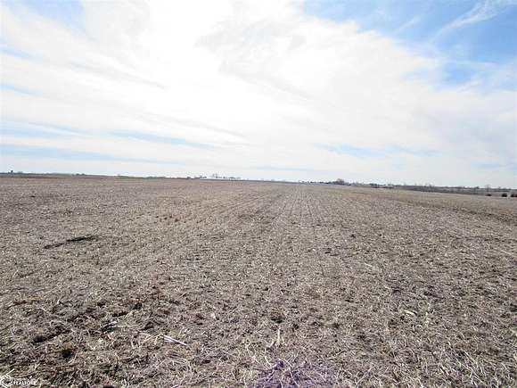 80 Acres of Recreational Land & Farm for Sale in Bloomfield, Iowa