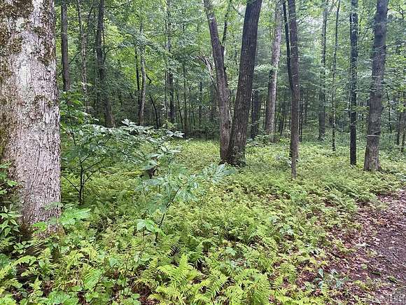 1.1 Acres of Land for Sale in Cashiers, North Carolina