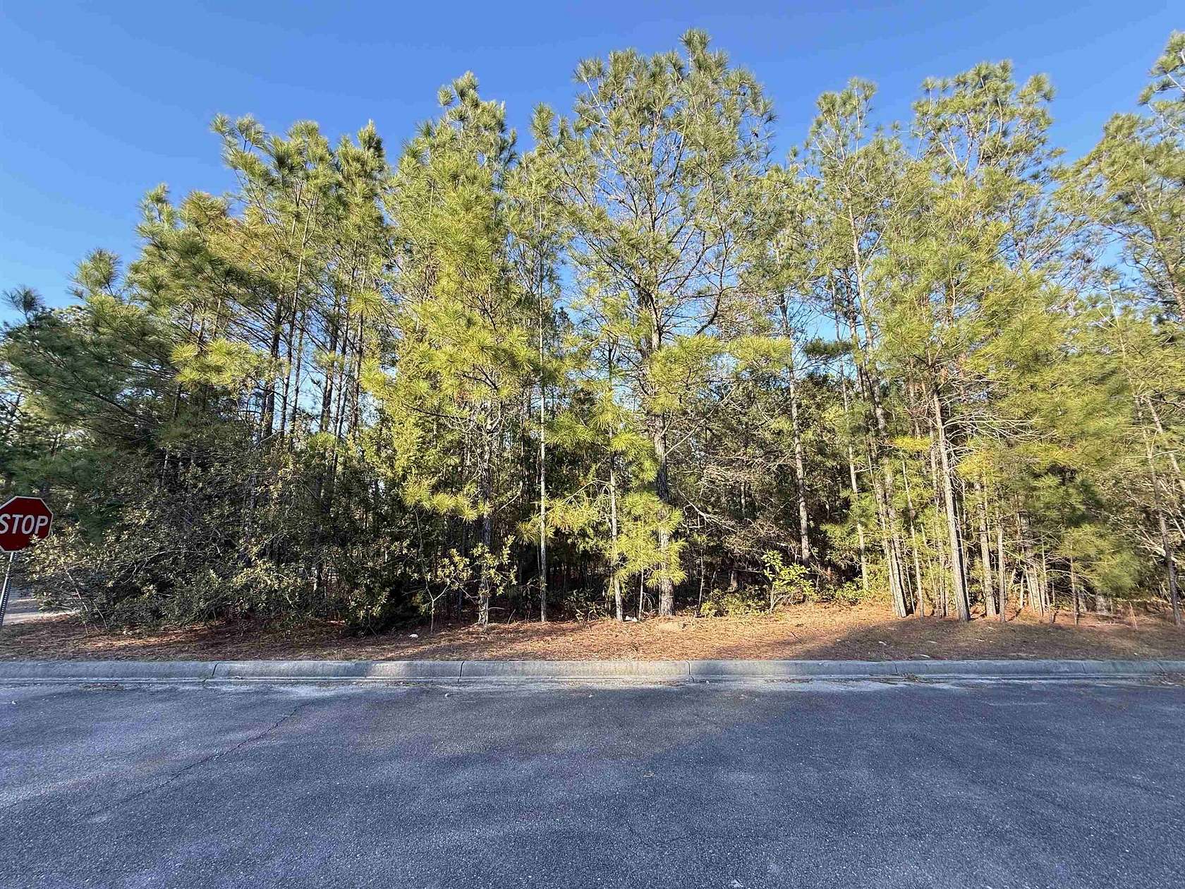 0.11 Acres of Residential Land for Sale in Georgetown, South Carolina