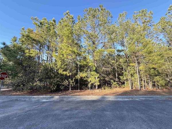 0.11 Acres of Residential Land for Sale in Georgetown, South Carolina
