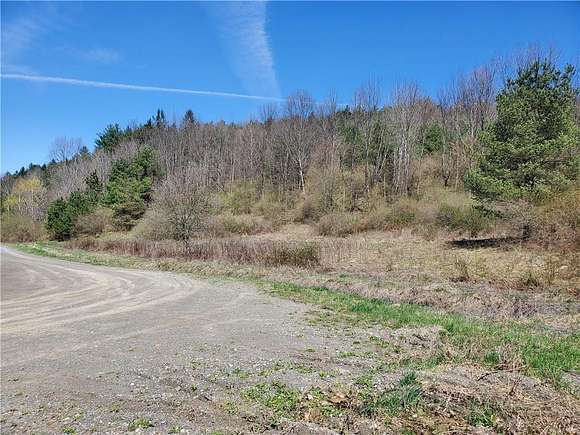 0.24 Acres of Residential Land for Sale in Newark Valley, New York