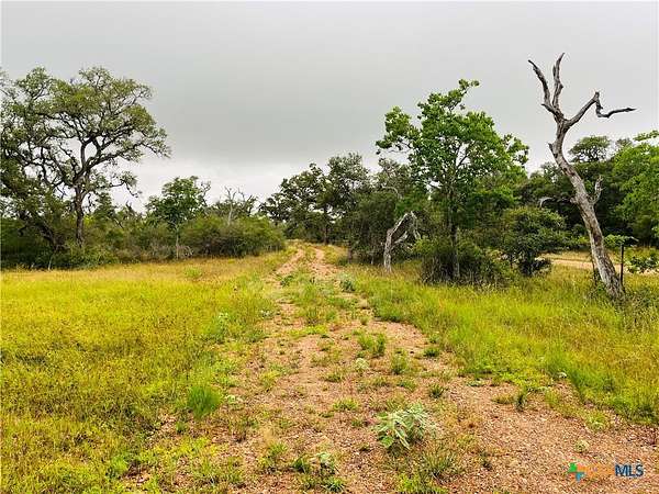 23 Acres of Land for Sale in Cuero, Texas