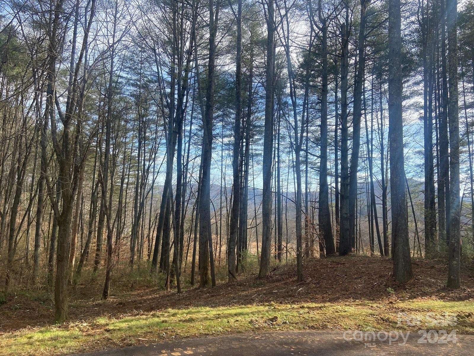 1.1 Acres of Residential Land for Sale in Brevard, North Carolina