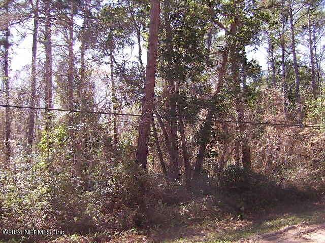 1.3 Acres of Residential Land for Sale in Middleburg, Florida