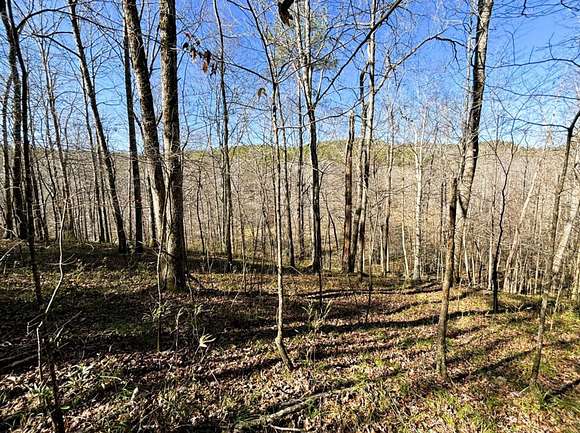 195 Acres of Recreational Land for Sale in Moulton, Alabama