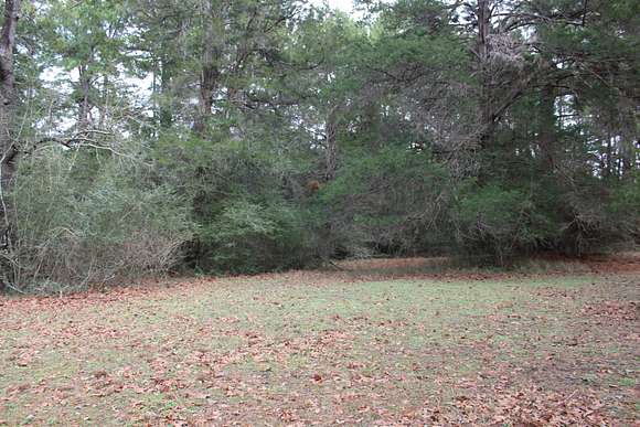 0.97 Acres of Residential Land for Sale in New Ulm, Texas