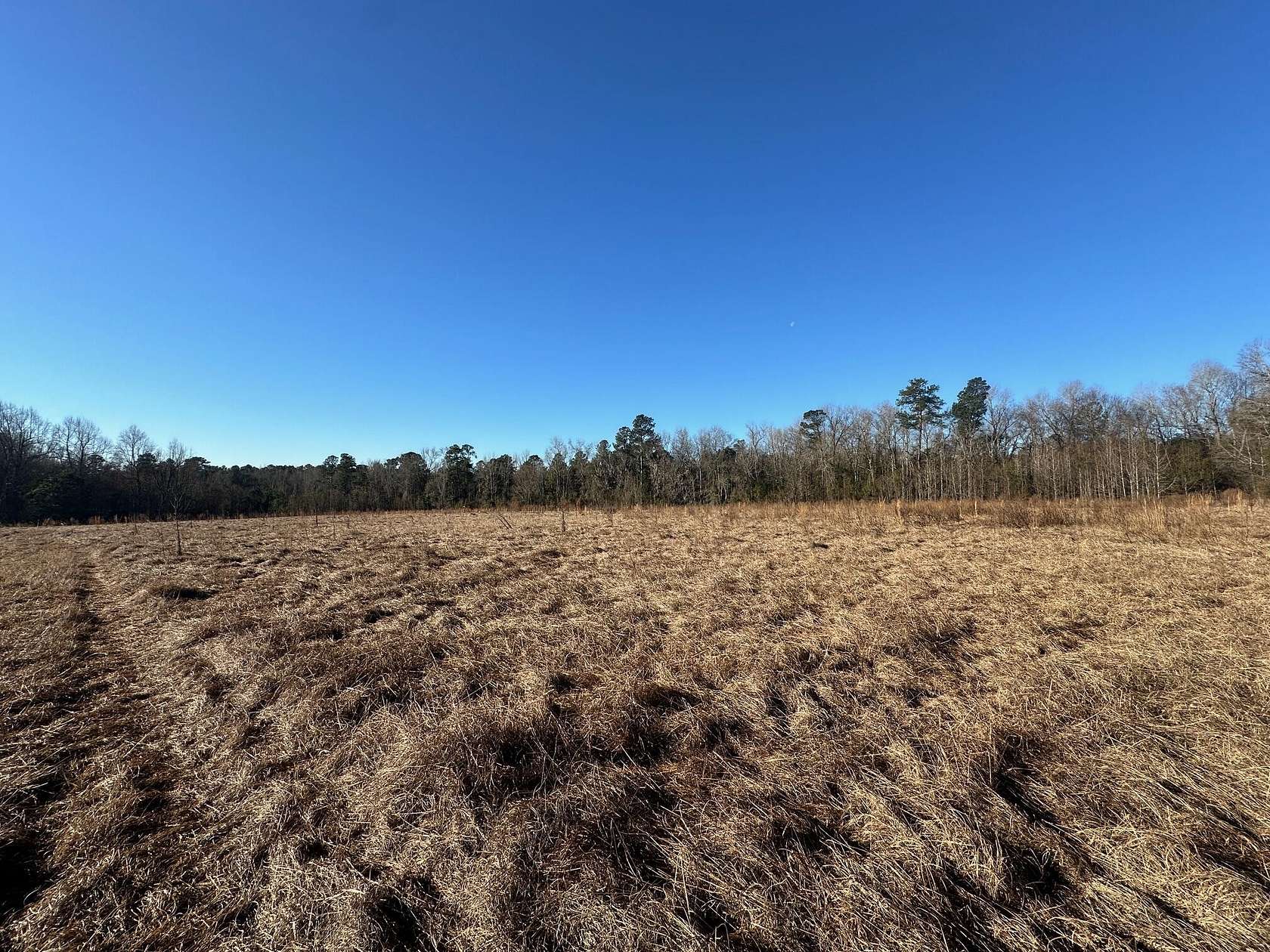 5 Acres of Residential Land for Sale in Girard, Georgia